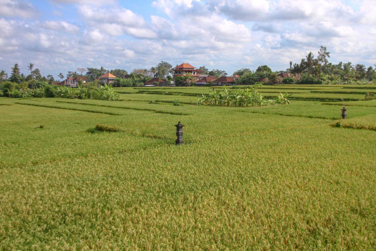 Kubu Sari Ubud المظهر الخارجي الصورة