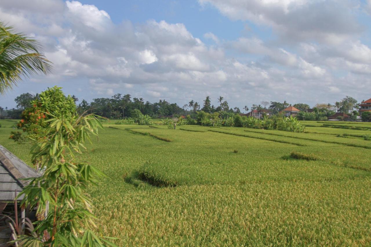 Kubu Sari Ubud المظهر الخارجي الصورة