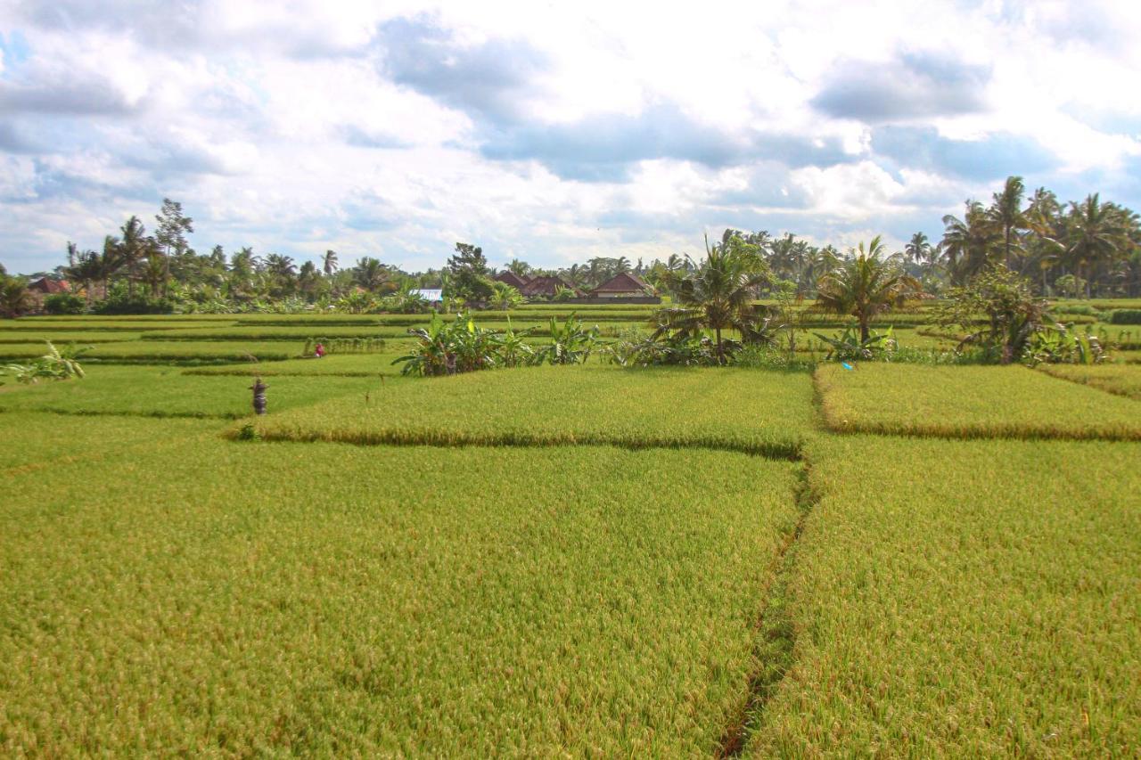 Kubu Sari Ubud المظهر الخارجي الصورة
