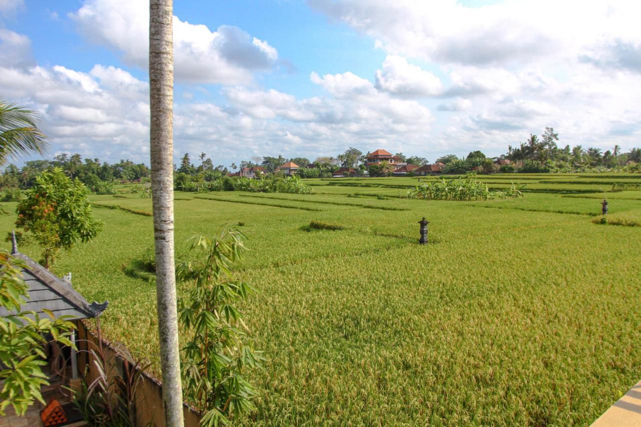 Kubu Sari Ubud المظهر الخارجي الصورة